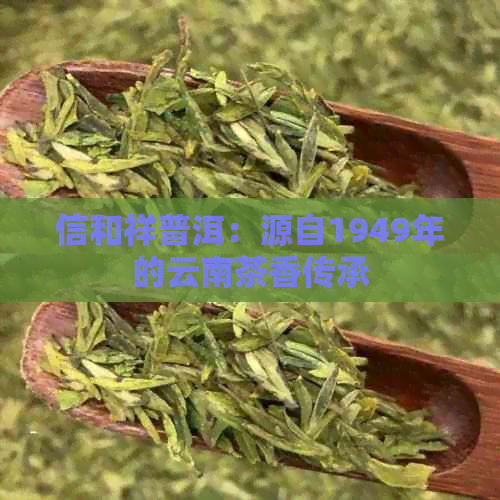 信和祥普洱：源自1949年的云南茶香传承