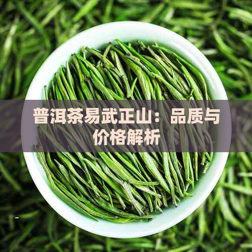 普洱茶易武正山：品质与价格解析