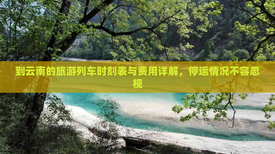 到云南的旅游列车时刻表与费用详解，停运情况不容忽视