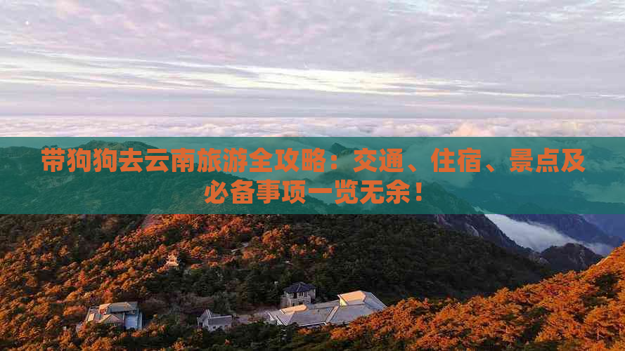 带狗狗去云南旅游全攻略：交通、住宿、景点及必备事项一览无余！