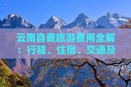 云南自费旅游费用全解：行程、住宿、交通及景点门票价格一应俱全！