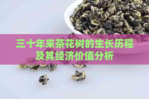 三十年来茶花树的生长历程及其经济价值分析