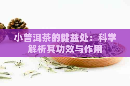 小普洱茶的健益处：科学解析其功效与作用