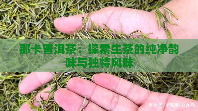 那卡普洱茶：探索生茶的纯净韵味与独特风味