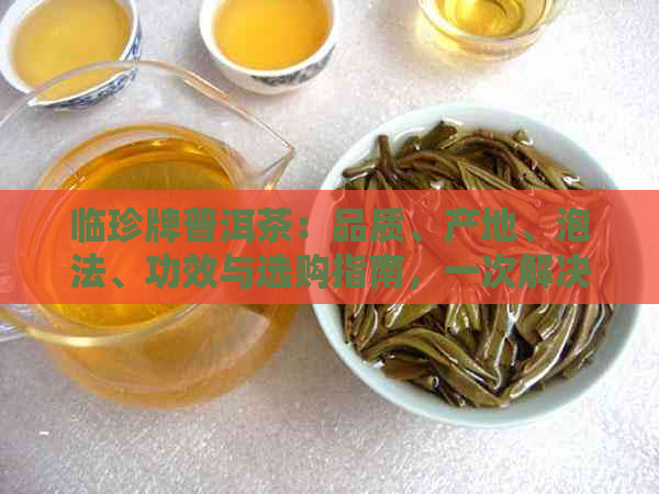 临珍牌普洱茶：品质、产地、泡法、功效与选购指南，一次解决您的所有疑问