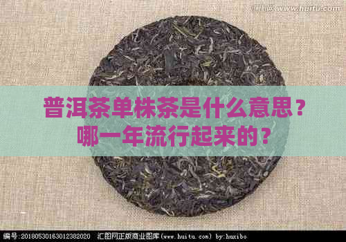 普洱茶单株茶是什么意思？哪一年流行起来的？