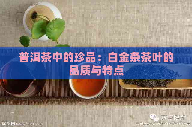 普洱茶中的珍品：白金条茶叶的品质与特点