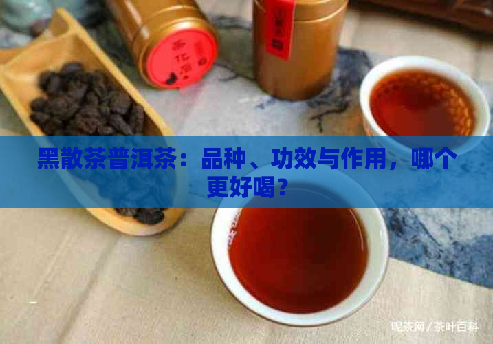 黑散茶普洱茶：品种、功效与作用，哪个更好喝？