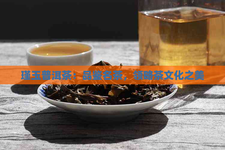 瑾玉普洱茶：品鉴名茶，领略茶文化之美