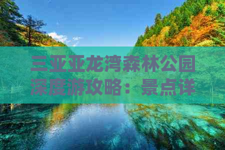 三亚亚龙湾森林公园深度游攻略：景点详解、路线规划与实用 Tips