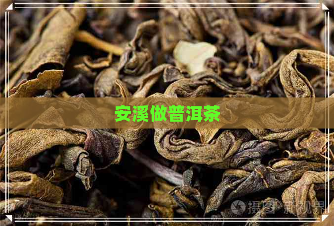 安溪做普洱茶