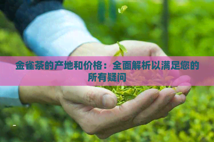 金雀茶的产地和价格：全面解析以满足您的所有疑问