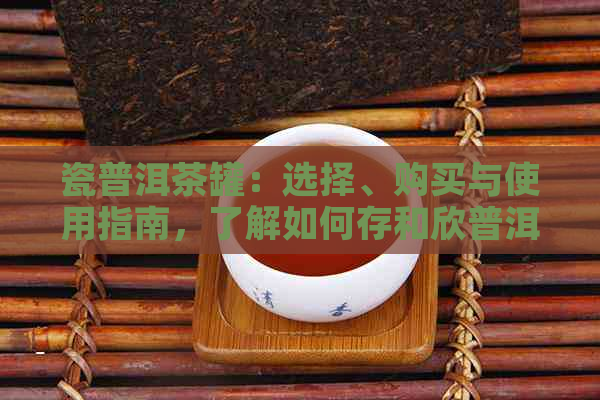 瓷普洱茶罐：选择、购买与使用指南，了解如何存和欣普洱茶的完美容器