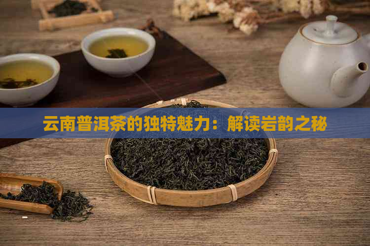 云南普洱茶的独特魅力：解读岩韵之秘