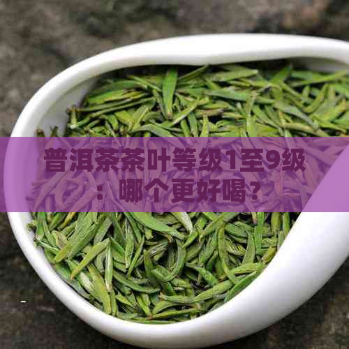 普洱茶茶叶等级1至9级：哪个更好喝？