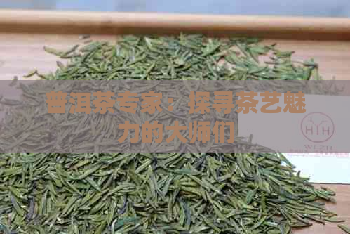 普洱茶专家：探寻茶艺魅力的大师们