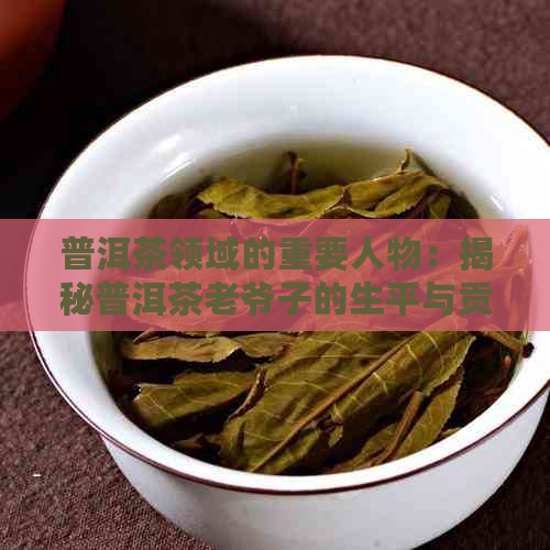 普洱茶领域的重要人物：揭秘普洱茶老爷子的生平与贡献