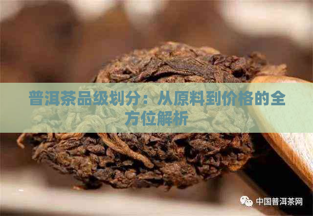 普洱茶品级划分：从原料到价格的全方位解析