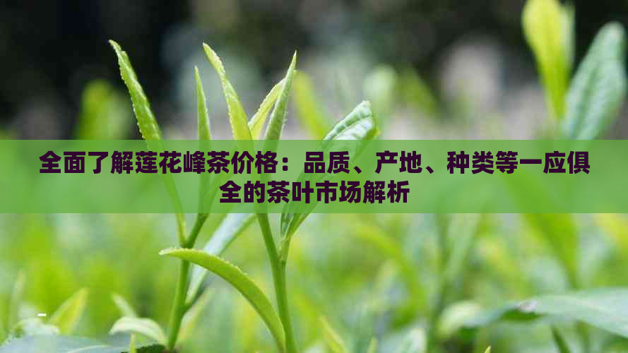 全面了解莲花峰茶价格：品质、产地、种类等一应俱全的茶叶市场解析