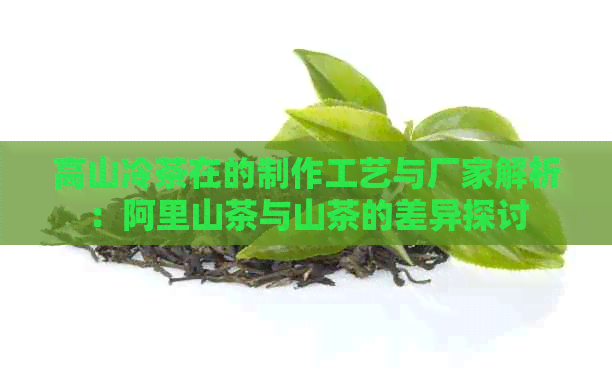 高山冷茶在的制作工艺与厂家解析：阿里山茶与山茶的差异探讨