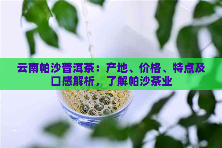 云南帕沙普洱茶：产地、价格、特点及口感解析，了解帕沙茶业