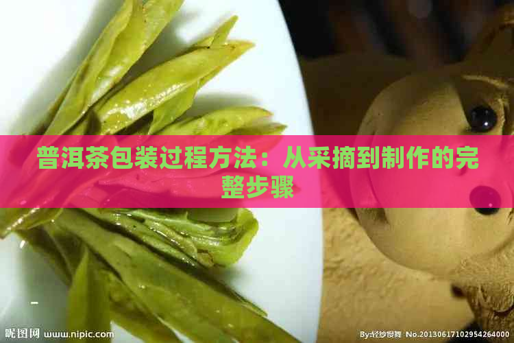 普洱茶包装过程方法：从采摘到制作的完整步骤