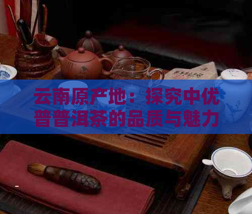 云南原产地：探究中优普普洱茶的品质与魅力