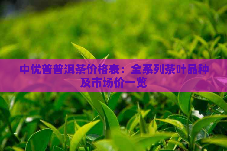 中优普普洱茶价格表：全系列茶叶品种及市场价一览