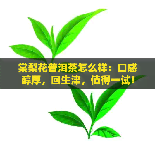 棠梨花普洱茶怎么样：口感醇厚，回生津，值得一试！