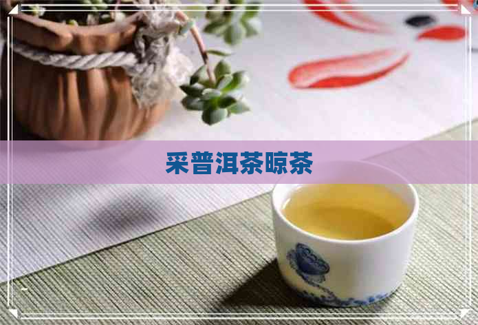 采普洱茶晾茶