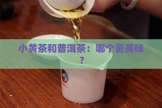 小黄茶和普洱茶：哪个更美味？