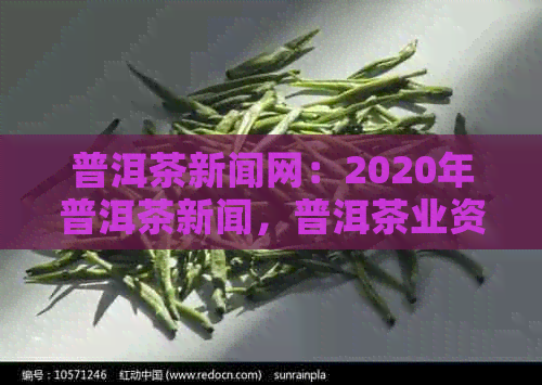 普洱茶新闻网：2020年普洱茶新闻，普洱茶业资讯，普洱茶信息一览