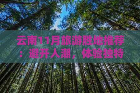 云南11月旅游胜地推荐：避开人潮，体验独特民俗风情