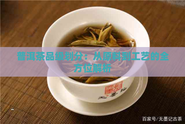 普洱茶品级划分：从原料到工艺的全方位解析