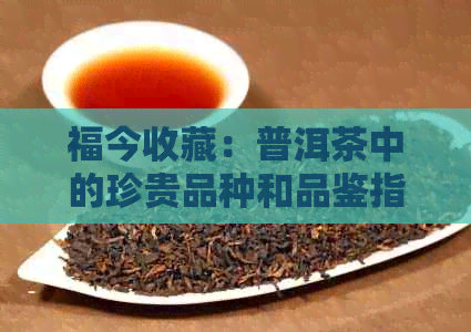 福今收藏：普洱茶中的珍贵品种和品鉴指南