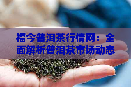 福今普洱茶行情网：全面解析普洱茶市场动态、价格走势与投资策略