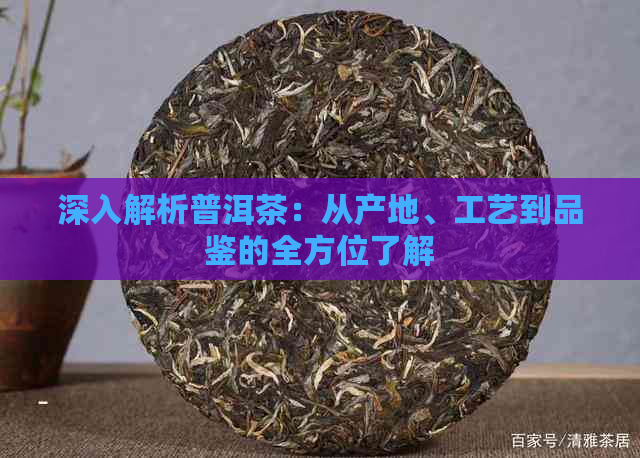 深入解析普洱茶：从产地、工艺到品鉴的全方位了解