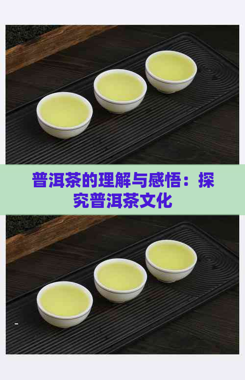 普洱茶的理解与感悟：探究普洱茶文化