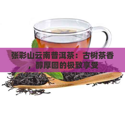 张彩山云南普洱茶：古树茶香，醇厚回的极致享受