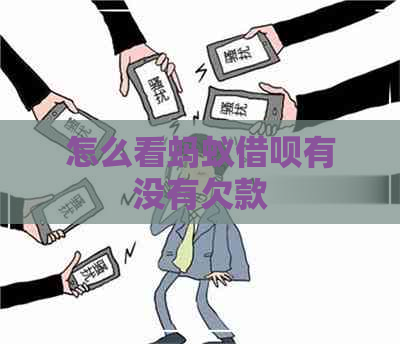 怎么看蚂蚁借呗有没有欠款