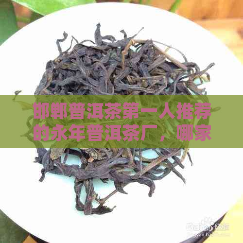 邯郸普洱茶之一人推荐的永年普洱茶厂，哪家邯郸茶叶更好？请告诉我地址。