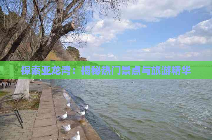 探索亚龙湾：揭秘热门景点与旅游精华