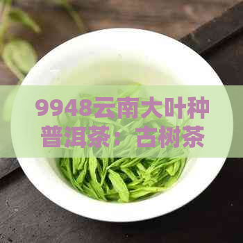 9948云南大叶种普洱茶：古树茶香，醇厚口感，收藏与品鉴的完美结合