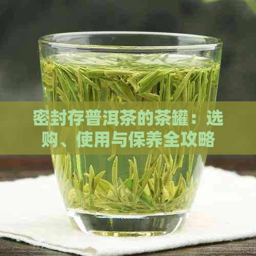 密封存普洱茶的茶罐：选购、使用与保养全攻略