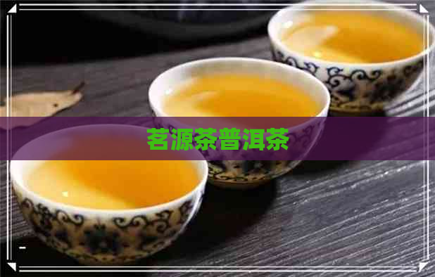 茗源茶普洱茶