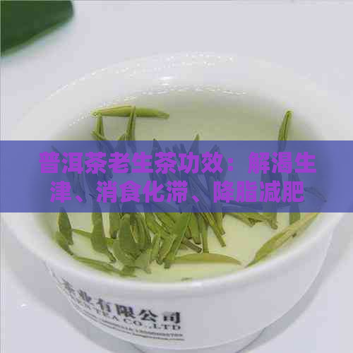 普洱茶老生茶功效：解渴生津、消食化滞、降脂减肥