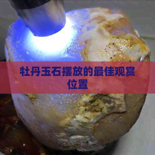 牡丹玉石摆放的更佳观赏位置