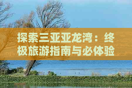 探索三亚亚龙湾：终极旅游指南与必体验活动攻略