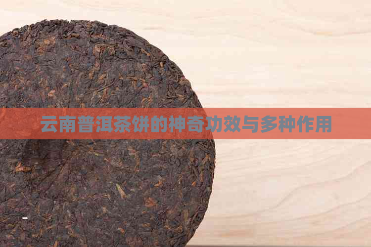 云南普洱茶饼的神奇功效与多种作用