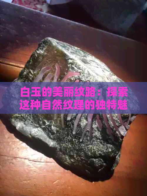 白玉的美丽纹路：探索这种自然纹理的独特魅力与文化意义